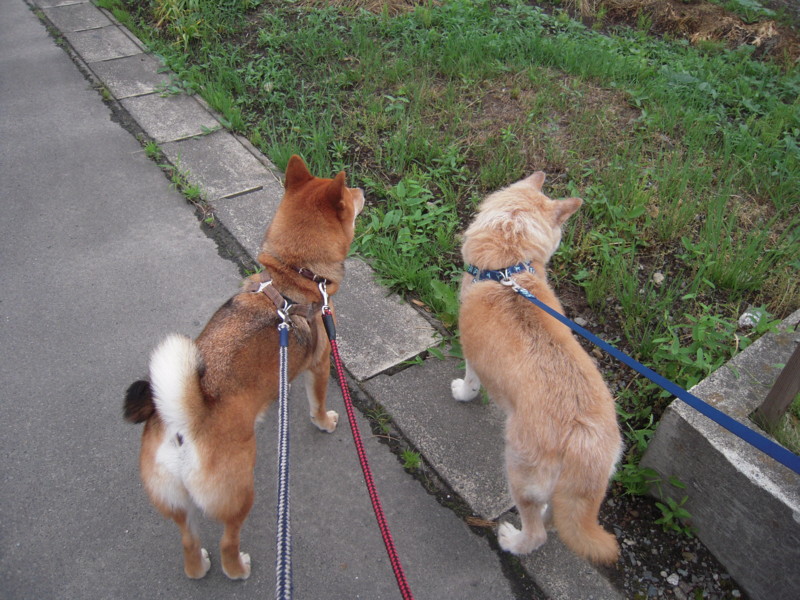 f:id:miyuki04:20100619162947j:image:w400