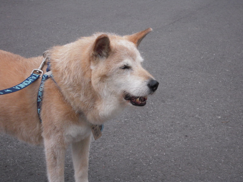 f:id:miyuki04:20100619164452j:image:w400