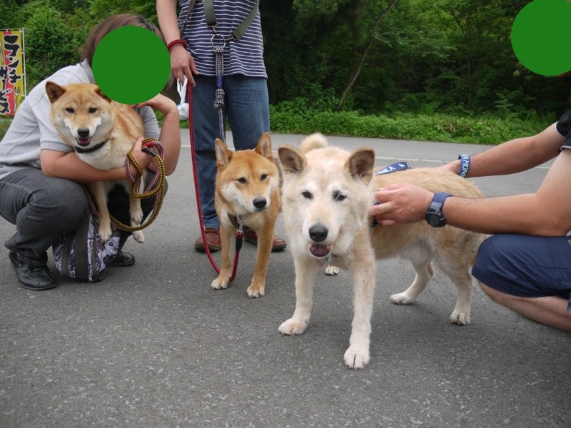 f:id:miyuki04:20100622110851j:image:w400
