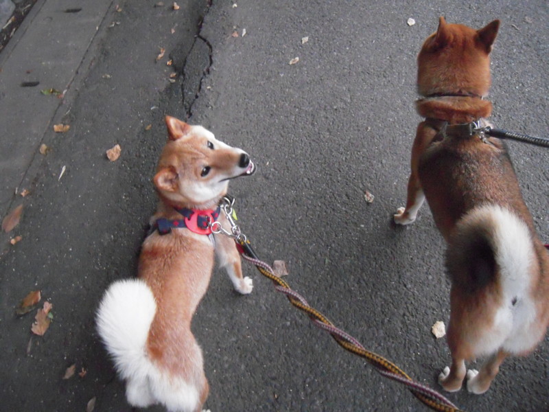 f:id:miyuki04:20100703184752j:image:w400