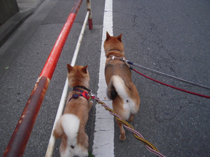 f:id:miyuki04:20100703184847j:image:w400