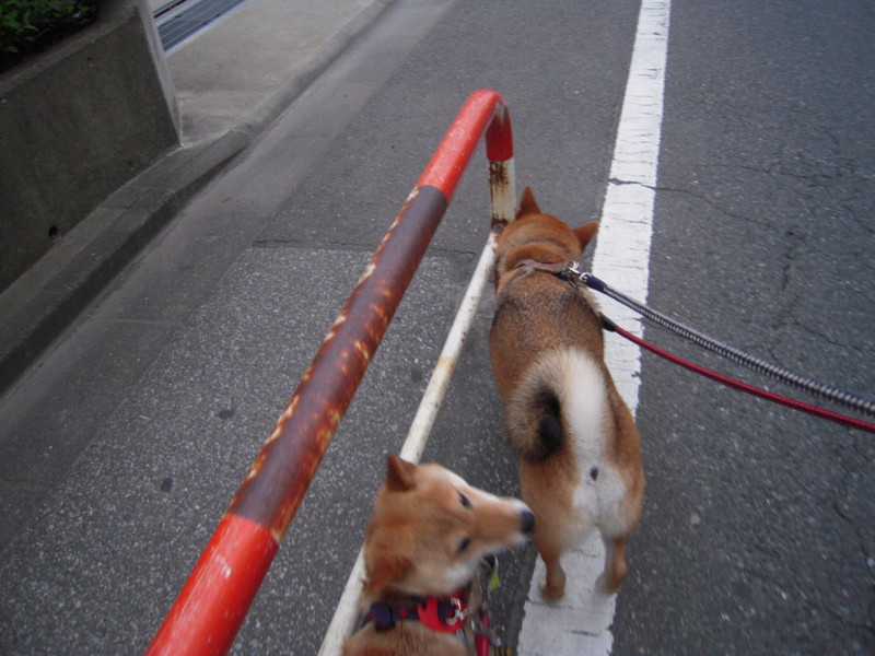 f:id:miyuki04:20100703184848j:image:w400