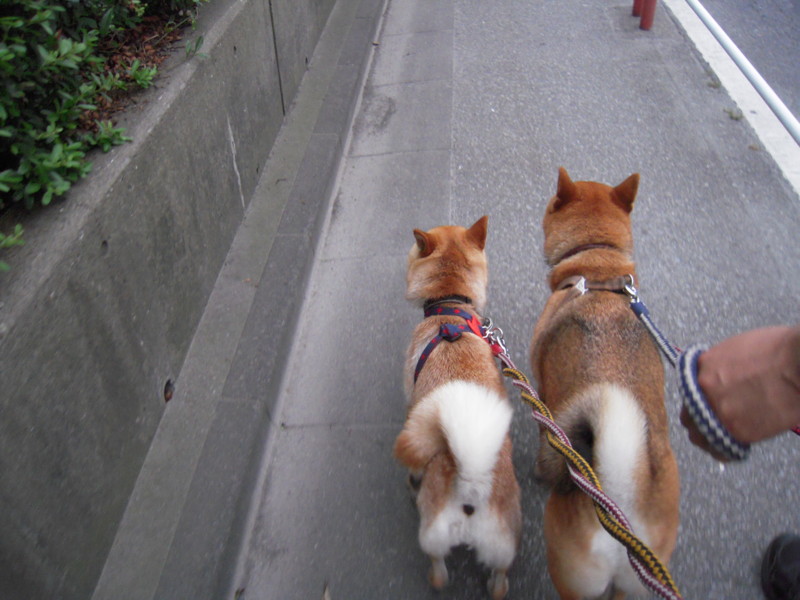 f:id:miyuki04:20100703184916j:image:w400