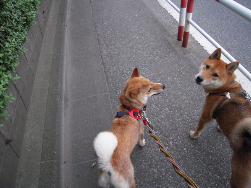 f:id:miyuki04:20100703184950j:image:w400