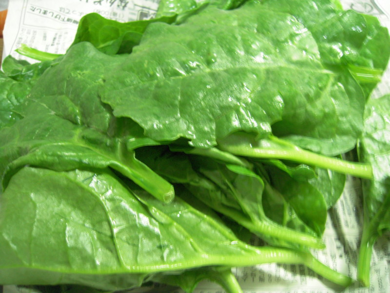 f:id:miyuki04:20100706211620j:image:w400