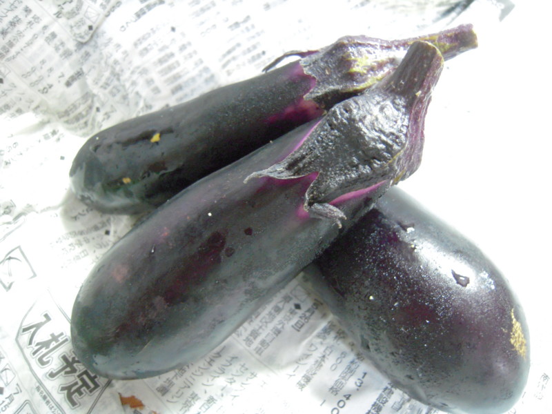 f:id:miyuki04:20100706212643j:image:w400