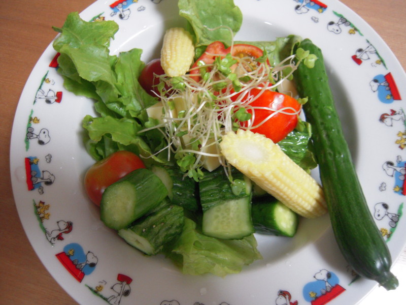 f:id:miyuki04:20100706213225j:image:w400