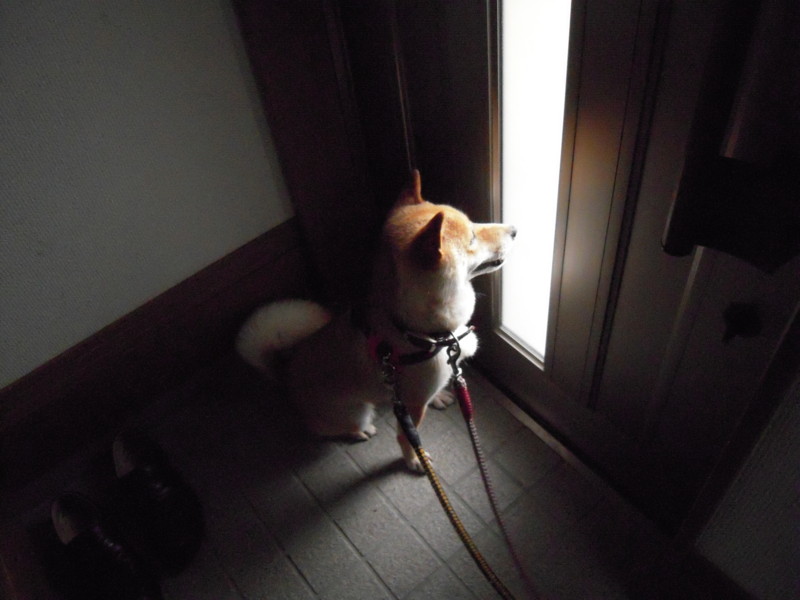 f:id:miyuki04:20100713065026j:image:w400
