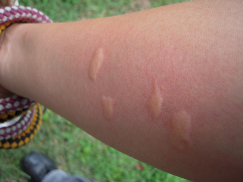 f:id:miyuki04:20100717112045j:image:w400 f:id:miyuki04:20100717112045j:image:w400