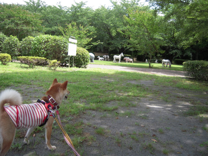 f:id:miyuki04:20100717112208j:image:w400 f:id:miyuki04:20100717112208j:image:w400