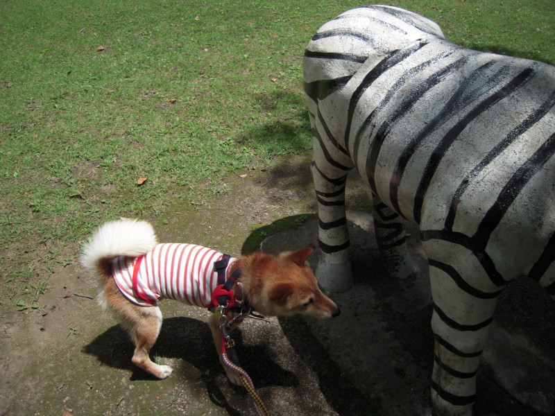 f:id:miyuki04:20100717112621j:image:w400 f:id:miyuki04:20100717112621j:image:w400