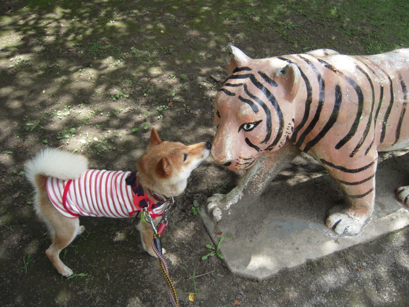 f:id:miyuki04:20100717112637j:image:w400 f:id:miyuki04:20100717112637j:image:w400