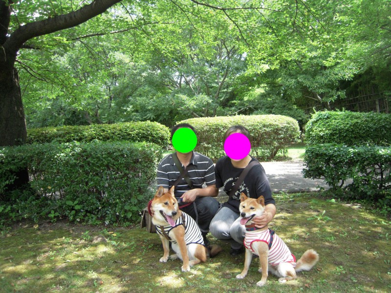 f:id:miyuki04:20100717223300j:image:w400 f:id:miyuki04:20100717223300j:image:w400