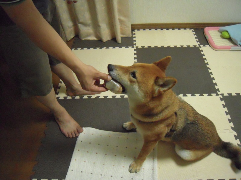 f:id:miyuki04:20100718192010j:image