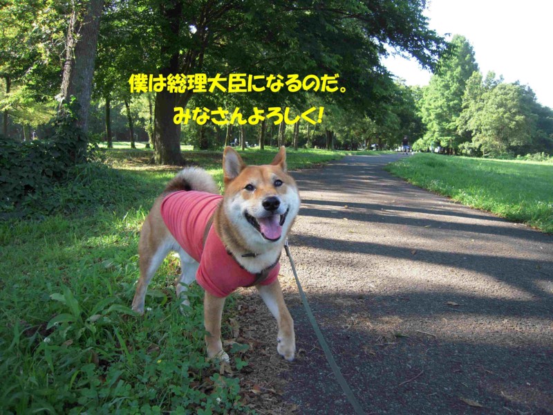 f:id:miyuki04:20100726155947j:image:w400