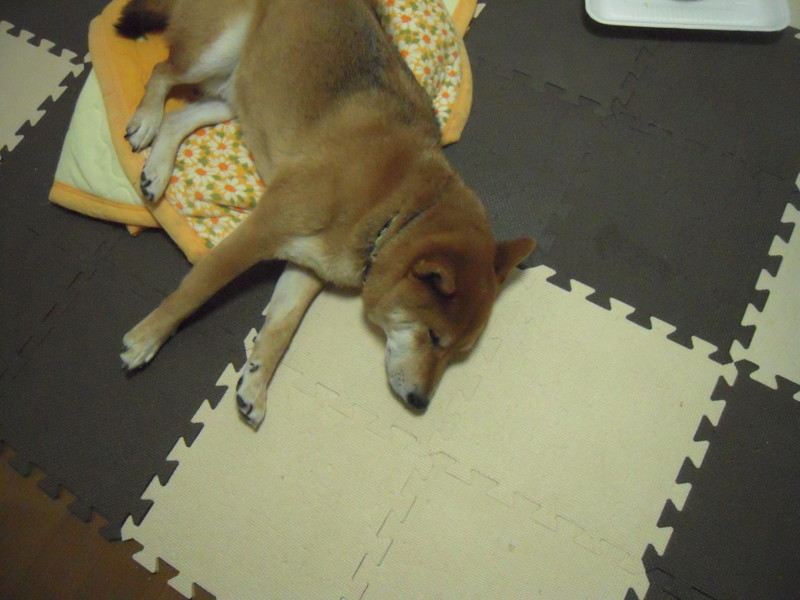 f:id:miyuki04:20101219211106j:image:w400 f:id:miyuki04:20101219211106j:image:w400