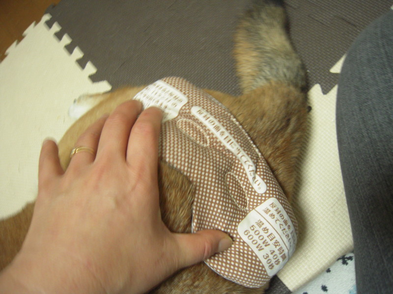 f:id:miyuki04:20101224220945j:image:w400 f:id:miyuki04:20101224220945j:image:w400