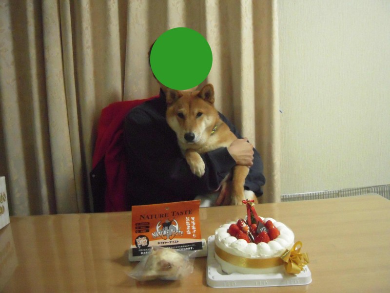 f:id:miyuki04:20101225112201j:image:w400 f:id:miyuki04:20101225112201j:image:w400