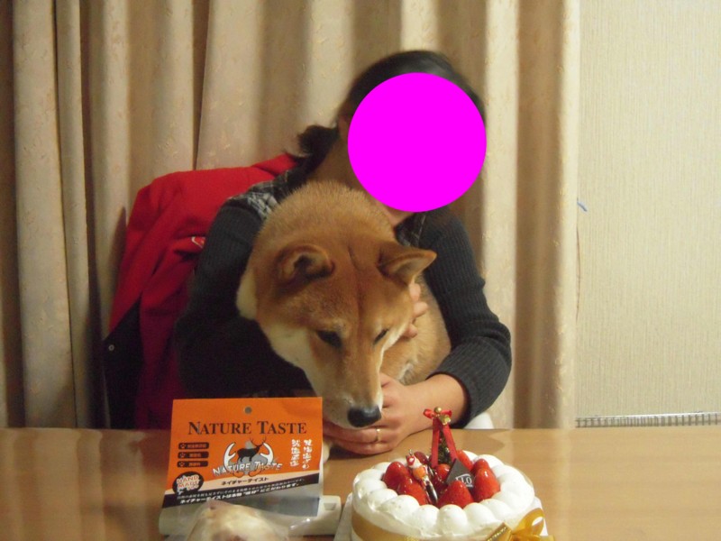 f:id:miyuki04:20101225112211j:image:w400 f:id:miyuki04:20101225112211j:image:w400