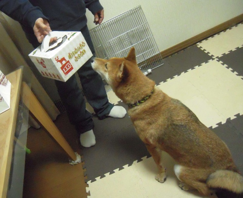 f:id:miyuki04:20101225112302j:image:w400 f:id:miyuki04:20101225112302j:image:w400