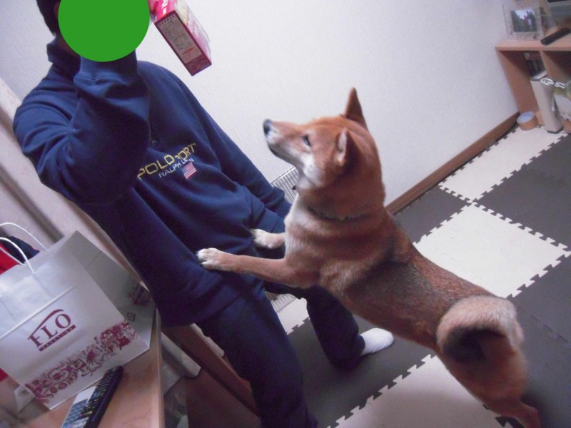 f:id:miyuki04:20101225112309j:image:w400 f:id:miyuki04:20101225112309j:image:w400