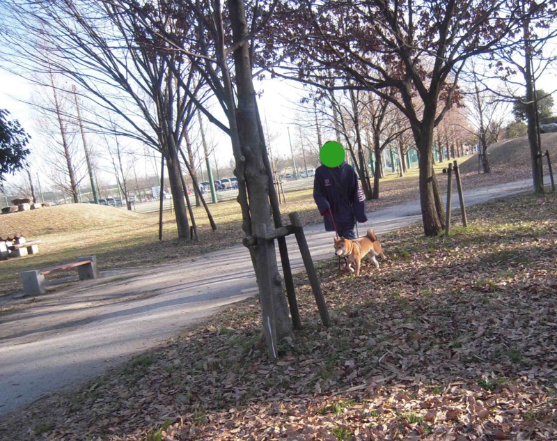 f:id:miyuki04:20110118100930j:image:w400