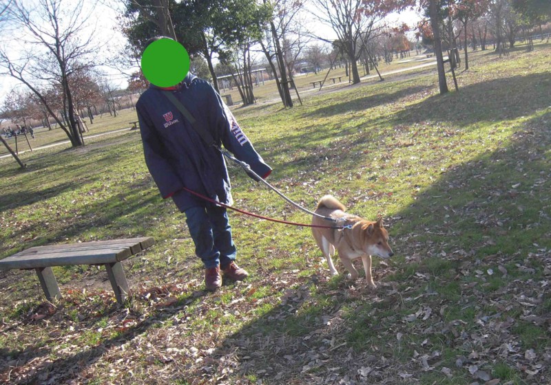 f:id:miyuki04:20110118100935j:image:w400