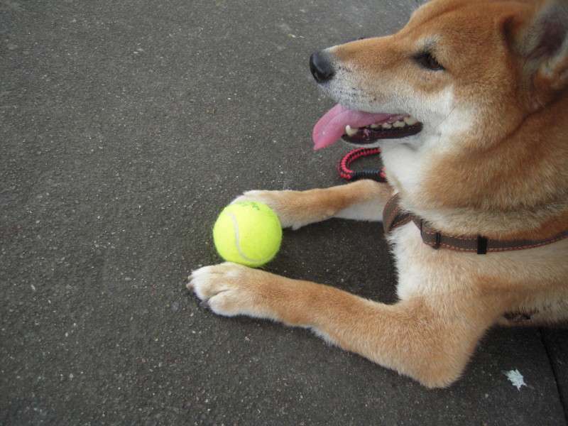 f:id:miyuki04:20110626114116j:image:w400