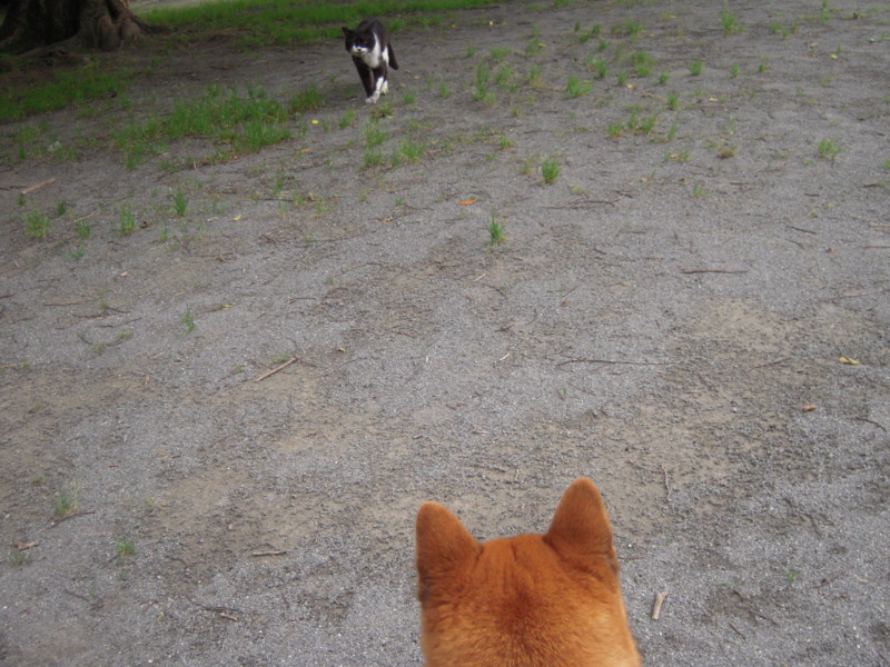 f:id:miyuki04:20110626115144j:image:w400