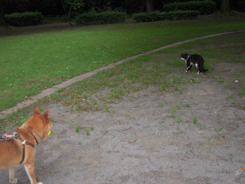 f:id:miyuki04:20110626115203j:image:w400