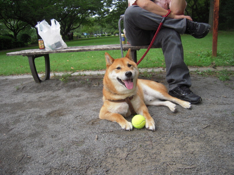 f:id:miyuki04:20110626115307j:image:w400