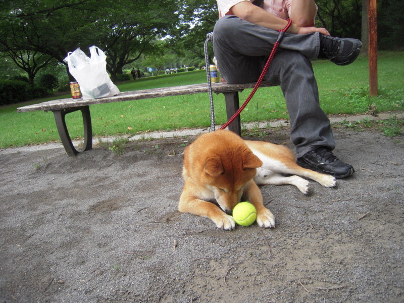 f:id:miyuki04:20110626115317j:image:w400