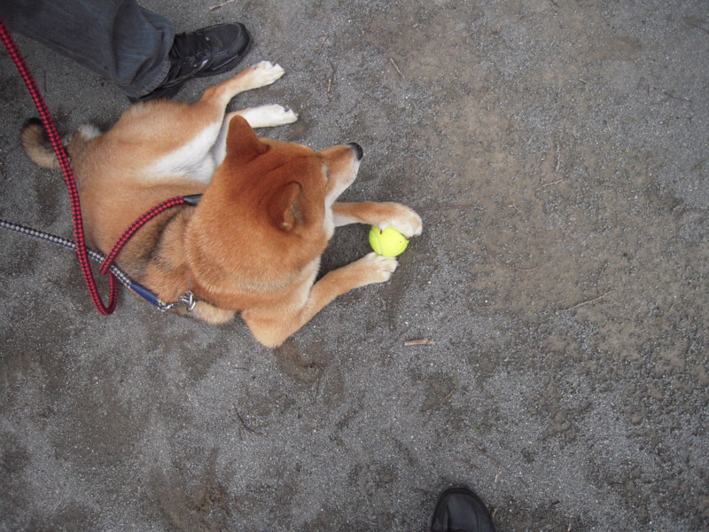 f:id:miyuki04:20110626115339j:image:w400