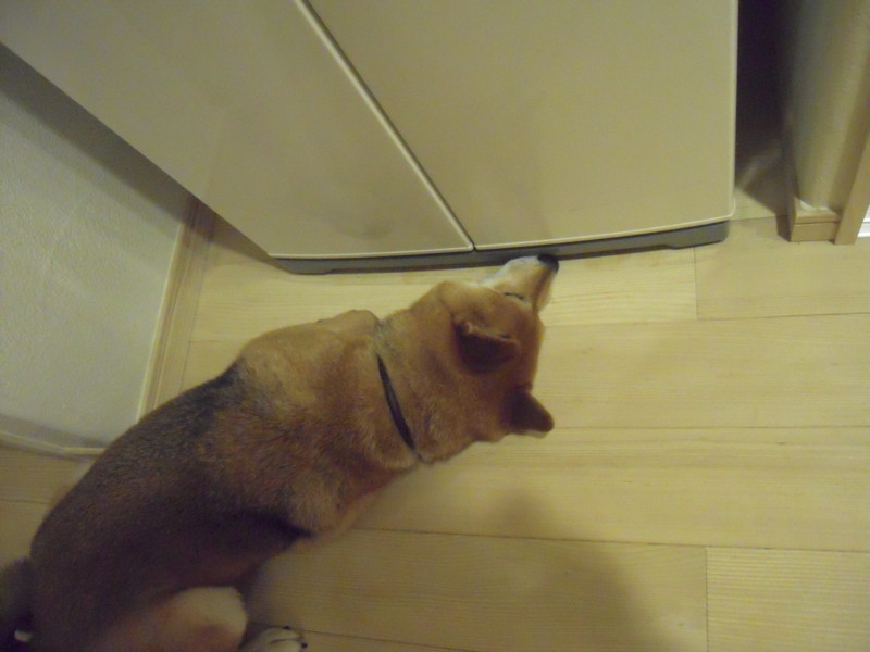 f:id:miyuki04:20110627210601j:image:w400