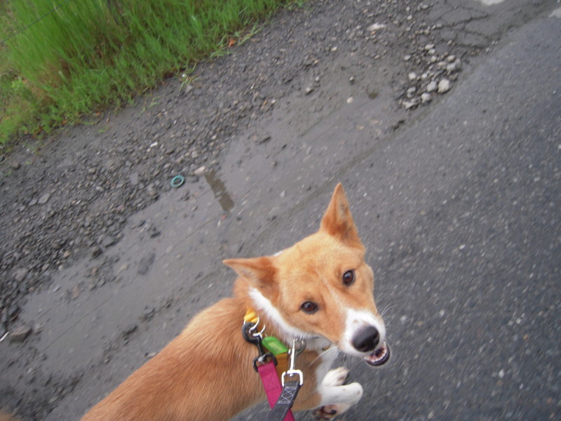 f:id:miyuki04:20110628071215j:image:w400