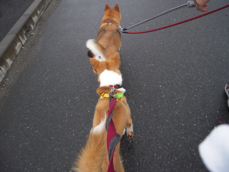 f:id:miyuki04:20110628072526j:image:w400