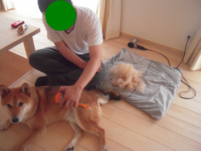 f:id:miyuki04:20110629091553j:image:w400