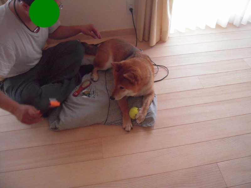 f:id:miyuki04:20110629091615j:image:w400