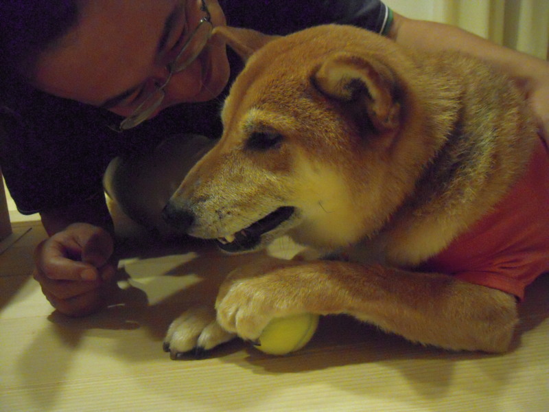 f:id:miyuki04:20110818232142j:image:w400