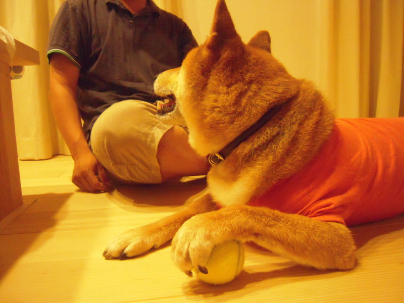 f:id:miyuki04:20110818232204j:image:w400