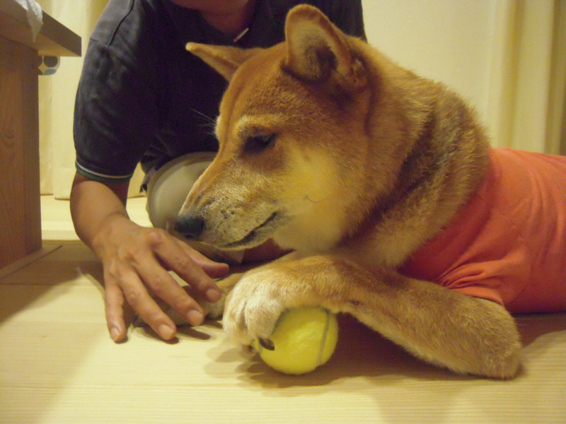 f:id:miyuki04:20110818232217j:image:w400