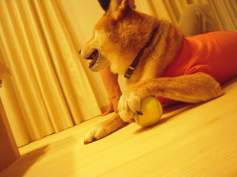 f:id:miyuki04:20110818232237j:image:w400