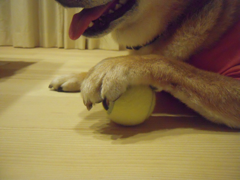 f:id:miyuki04:20110818232511j:image:w400