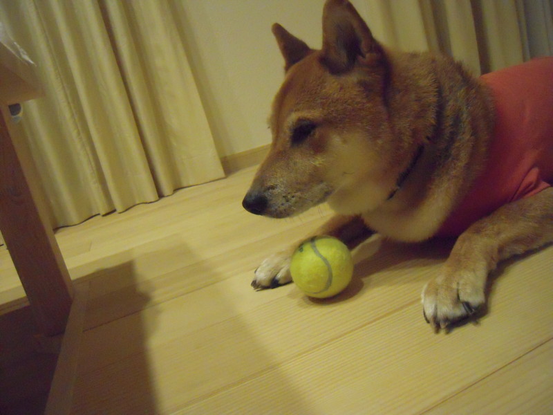 f:id:miyuki04:20110818232708j:image:w400