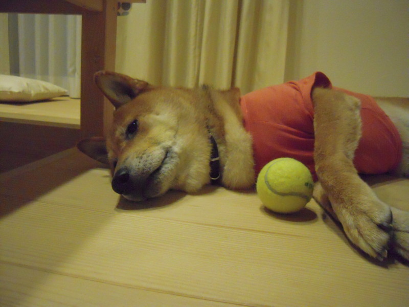 f:id:miyuki04:20110818232829j:image:w400