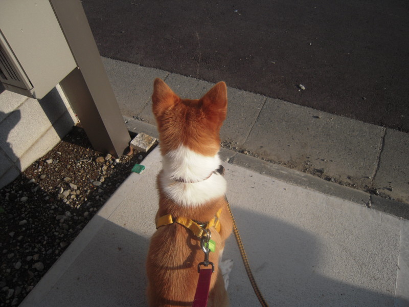 f:id:miyuki04:20110829071643j:image:w400 f:id:miyuki04:20110829071643j:image:w400