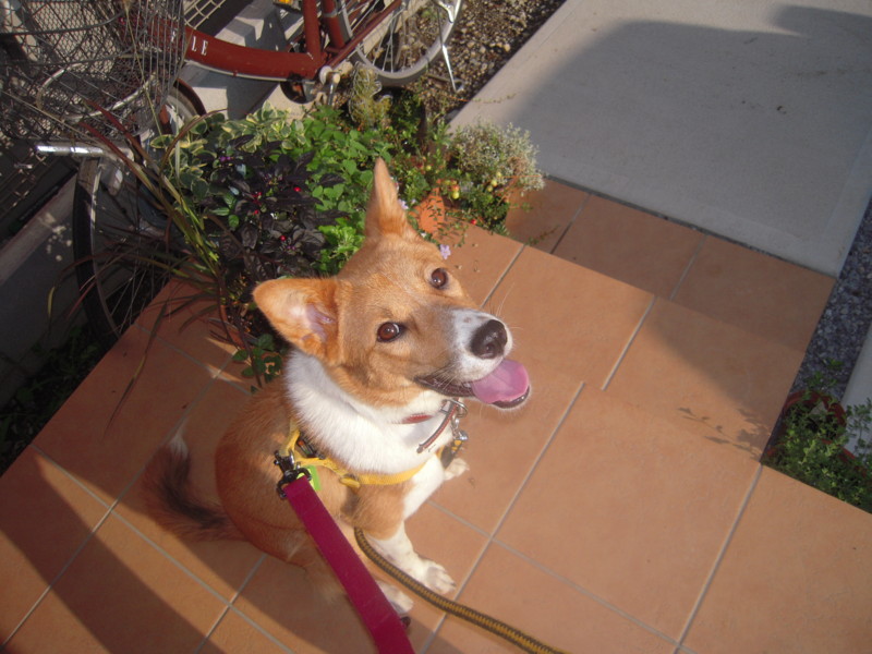 f:id:miyuki04:20110829072525j:image:w400 f:id:miyuki04:20110829072525j:image:w400