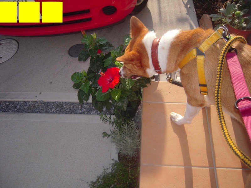 f:id:miyuki04:20110830142047j:image:w400 f:id:miyuki04:20110830142047j:image:w400