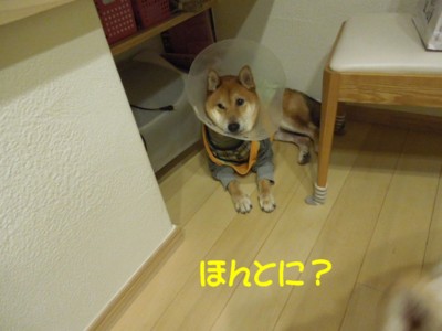 f:id:miyuki04:20121029114927j:image