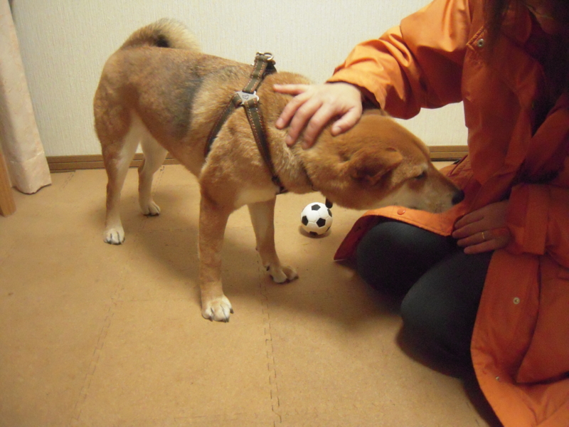 f:id:miyuki1967:20100213200933j:image